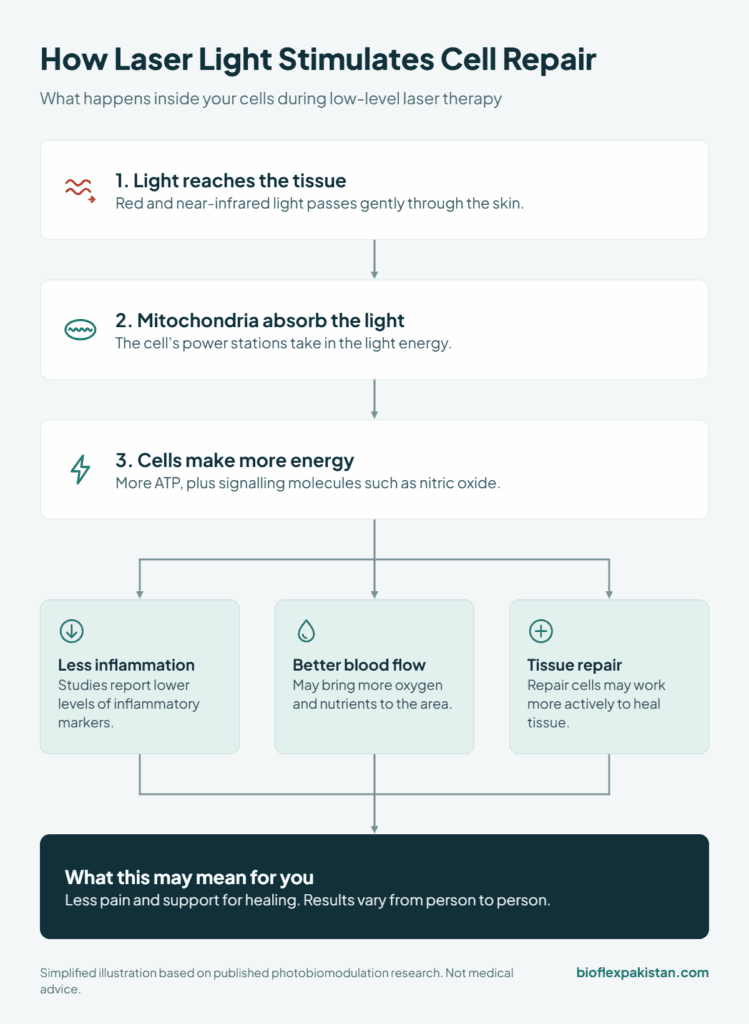 Diagram showing how low-level laser light stimulates cell repair
